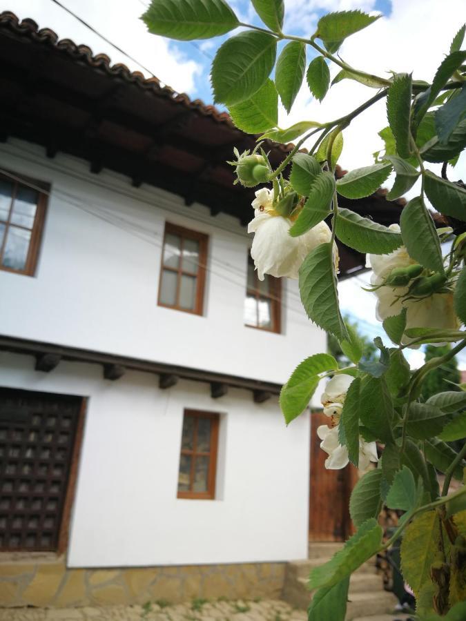 Къща За Гости Роден Край Elena Exterior photo